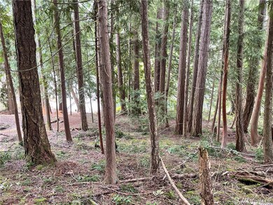 18542 Woodside Dr SE, Yelm, WA 98597 - photo 2