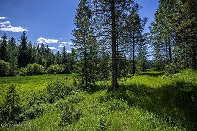 Forested to Creek View