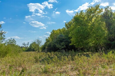 Tract 3 County Road 4460, Decatur, TX 76234 - photo 7