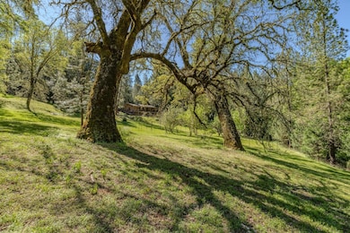 19301 Laurel Canyon Rd, Sutter Creek, CA 95685 - photo 4
