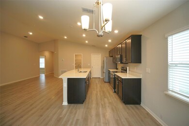 12221 Cypress Branch St, Riverview, FL 33579 - photo 6