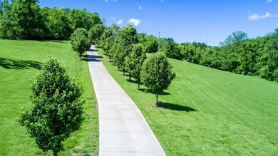 Tree lined concrete drive