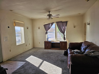 Carpeted living area featuring healthy amount of natural light, ceiling fan, and tile patterned floors