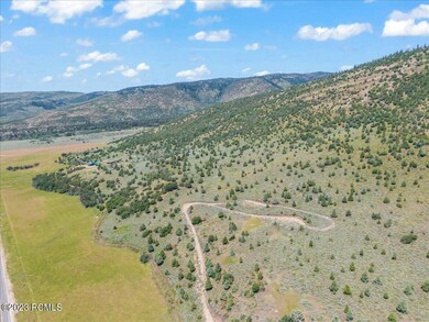 Borders National Forest
