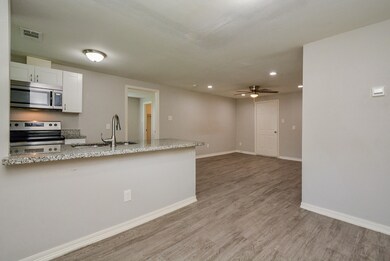 1007 Avenue E, Rosenberg, TX 77471 - photo 3