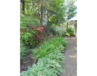 Yard/Garden.