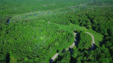 Another angle of food plots, stream...