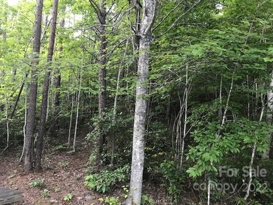 0000 Mallard Rd, Lake Lure, NC 28746 - photo 6