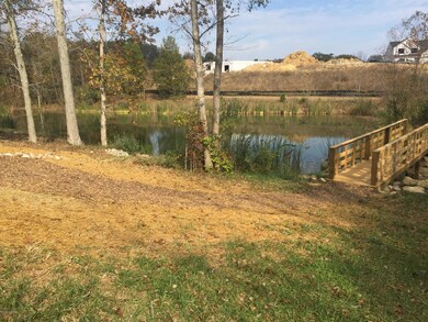 Bridge in Open Space
