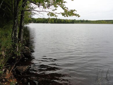 Lot 4 Forrester Rd, Tomahawk, WI 54487 - photo 2