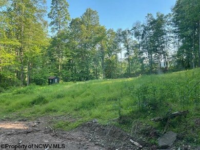TBD Cheat Valley Hwy, Parsons, WV 26287 - photo 4