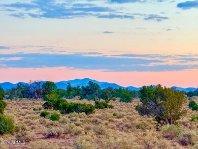 IMG_7618