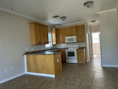 6745 Hudson Ave unit 6745, Hudson, FL 34667 - photo 3