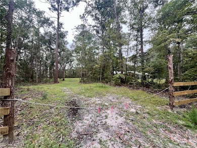 1111 Fiddler Crab Dr, Townsend, GA 31331 - photo 4