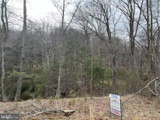 49.76 Acres Ewing Dr, Baker, WV 26801 - photo 3