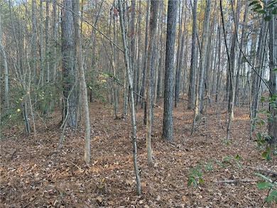 Lot 12B Woods Rd, Seagrove, NC 27341 - photo 4