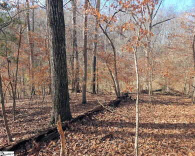 0 Boyds Mill Pond Rd unit 1514877, Laurens, SC 29360 - photo 4