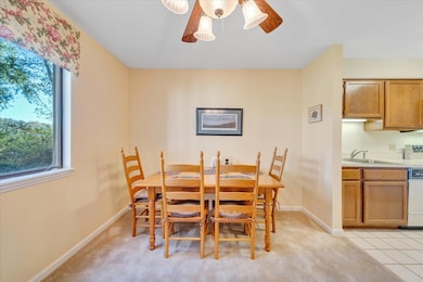 289 Shoreline Marina Cir unit 112, Moneta, VA 24121 - photo 6