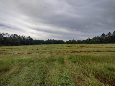 XXXX 159th Ave, Sebeka, MN 56477 - photo 3