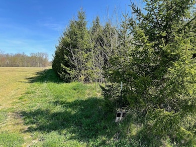 V/L Hipps Hollow Rd, Eau Claire, MI 49111 - photo 5