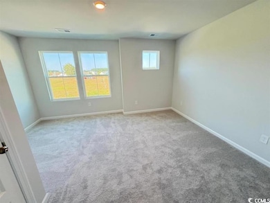 1301 American Shad St, Conway, SC 29526 - photo 2