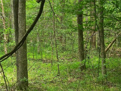 0 Bachelor Creek Rd, Asheboro, NC 27205 - photo 3