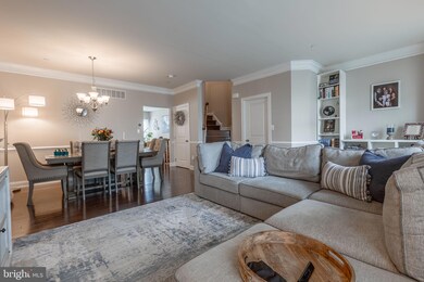 104 Jackdaw Aly, Media, PA 19063 - photo 4