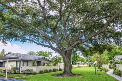 Nice green view and gorgeous tree along the walk-w