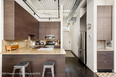 361 Robinson St unit 210, Basalt, CO 81621 - photo 3