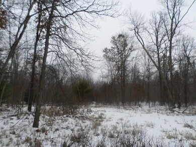 0 County Road H unit 1734948, Cutler, WI 54618 - photo 7
