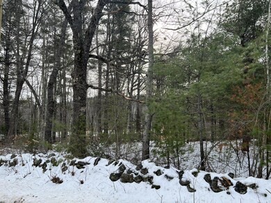 M15L4 Spring Rd, Newfield, ME 04095 - photo 2