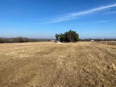 9E Pasadera Cir, Gordonville, TX 76245 - photo 4