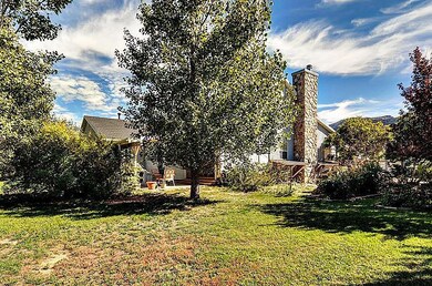 Back yard.jpg