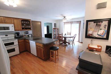 1305 Deerpath Dr, Morris, IL 60450 - photo 5