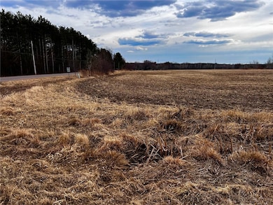 Lot 1 Main St, Cadott, WI 54727 - photo 2