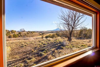 21701 Road P, Cortez, CO 81321 - photo 5