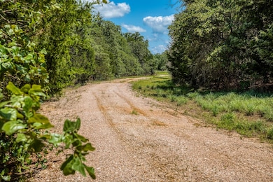 View of street featuring a view of trees