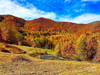 0 Camden Downs Rd unit Lot 9, Waynesville, NC 28785 - photo 3