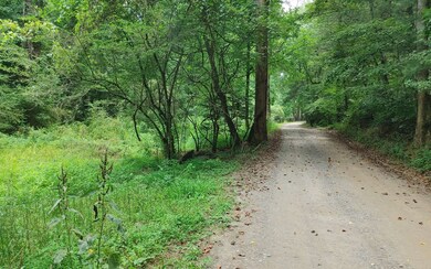 Additional View