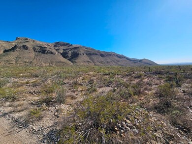 Lot 2D Lady of the Mountain Rd unit 2D, Alamogordo, NM 88310 - photo 3