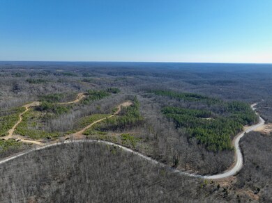 0 White Oak Rd unit RTC2974718, Stewart, TN 37175 - photo 6