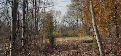 1030 N Paperville Rd, Bristol, TN 37620 - photo 7