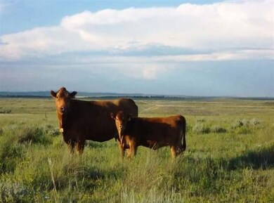 1961 Mccartney Rd, Grass Range, MT 59032 - photo 4