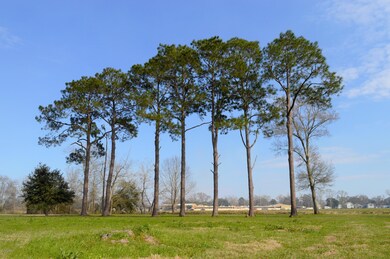 _DSC0709