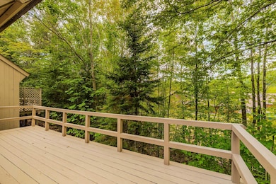 9 Pleasant Dr, Grantham, NH 03753 - photo 7