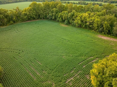 0000 Green Rd, Flat Creek Township, MO 65301 - photo 2