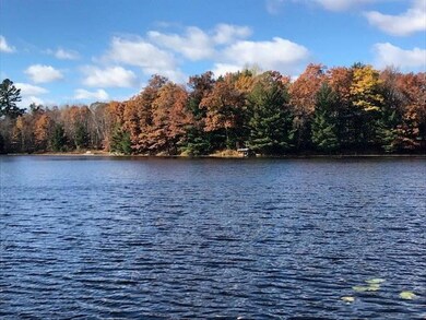 N2405 Two Bear Rd, Weyerhaeuser, WI 54895 - photo 6