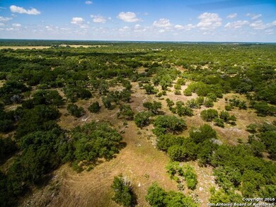 3965 County Road 251, Hondo, TX 78861 - photo 4