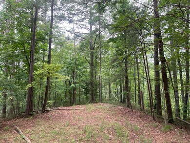 741 Forge Ct, Ranger, GA 30734 - photo 4