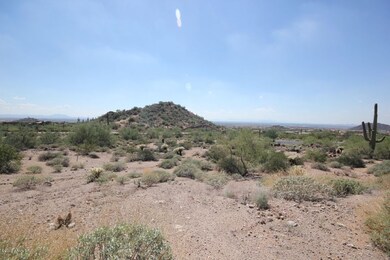 IMG_2501